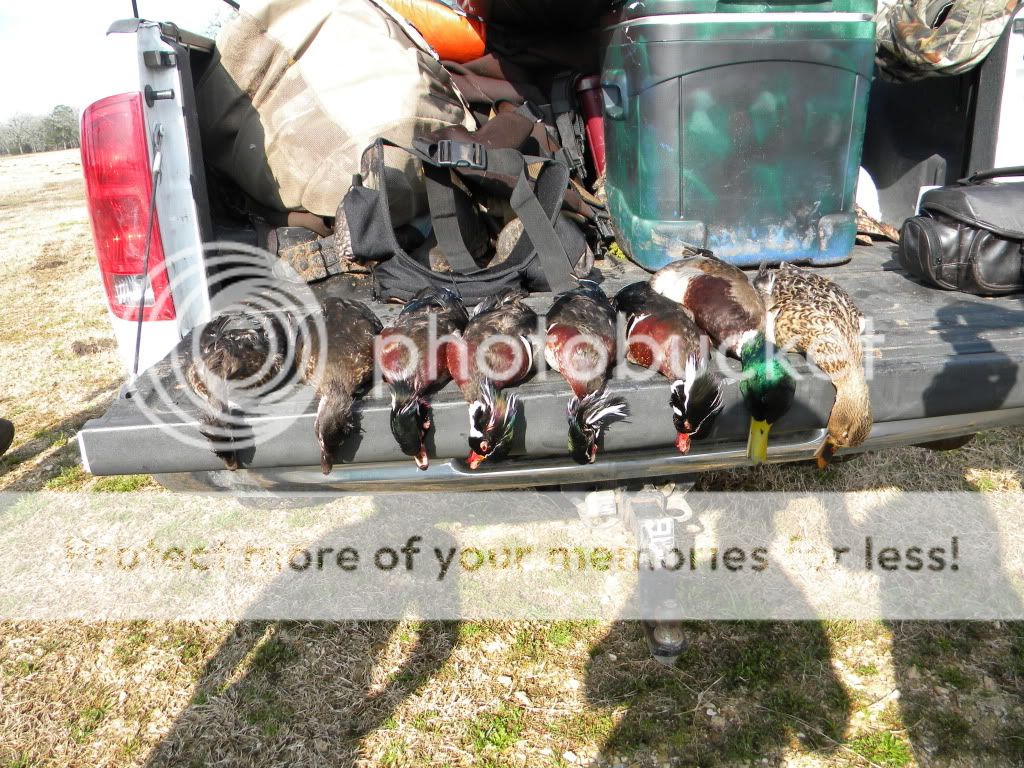 Pics of a Central Texas Duck Season Duck Hunting Forum